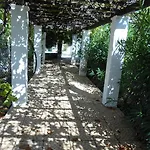 Anamama -socrates Lägenhet Acharavi (Corfu)